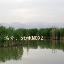 ź