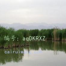 ź